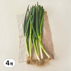 국내산 친환경 대파, 500g, 4개