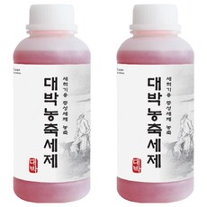 대박세제 업소 식기세척기 전용 농축세제, 2개, 1L