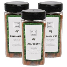 딜리셔스마켓 시나몬스틱, 100g, 3개