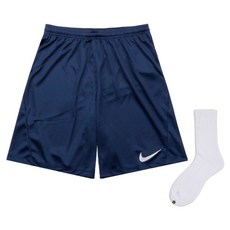 Nike 男款 Swoosh 短褲 BV6855-410 + Welldone 襪子