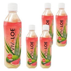 VIVALOE 纖薈 西瓜蘆薈果汁飲料，含真正蘆薈果肉, 500ml, 5瓶