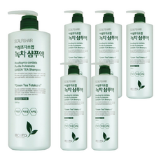 모에타 어성초 자소엽 녹차 샴푸액 건민감성, 1kg, 6개