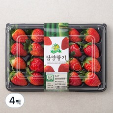 GAP 인증 담양 설향딸기, 550g, 4팩
