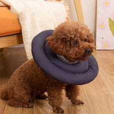 딩동펫 스토퍼 넥카라, 네이비, 1개