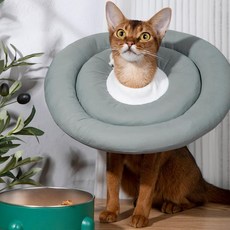 DING DONG PET 寵物防咬舔頭套圈, 綠色, 1個