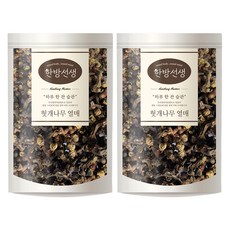 한방선생 헛개나무열매, 200g, 2개