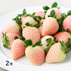 올프레쉬 GAP 인증 화이트 딸기, 500g, 2개