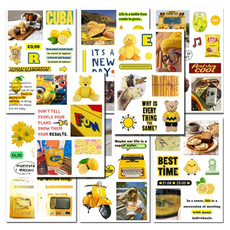 꼬까 다꾸 스티커 레몬 빈티지 8종 세트, 혼합색상, 1세트