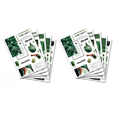 꼬까 다꾸 스티커 초록초록 10종 세트, 혼합색상, 1세트