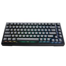 Ducky ProjectD Tinker 75% 經典黑 客製化機械式鍵盤 RGB 熱插拔 (Cherry)PKTI2383AST-CSTWPDOECLAAW1 靜音紅軸 / 中文 原廠保固, PKTI2383AST-CSTWPDOECLAAW1, 1個