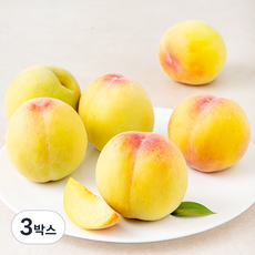 가족 의성 당도선별 부드러운 황도 복숭아, 1.5kg, 3박스