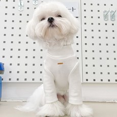 DING DONG PET 狗狗衣服 簡約高領T恤, 象牙白