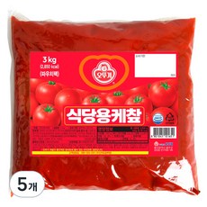 오뚜기 식당용 케찹 파우치, 3kg, 5개