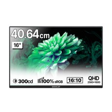 ZEUSLAP 2.5K QHD 攜帶式螢幕, 40.64cm, P25K