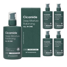 닥터방기원 시카마이드 딥 모이스처 밸런싱 올인원, 300ml, 5개