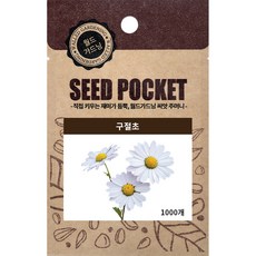 월드가드닝 정원 좋은 꽃 씨앗 야생화 구절초씨 1000p, 1개