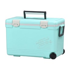 SHInWA 伸和 Holiday保冷冰箱 27L, 一體成型設計, 隔層厚實, 不鏽鋼螺絲裝訂, 特殊材質提手, 蒂芬妮綠