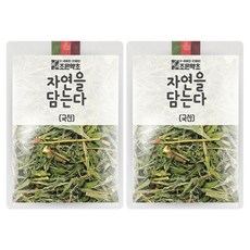 조은약초 자연을 담는다 프리미엄 야관문, 200g, 2개