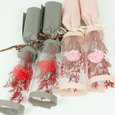 Blüehen Thanks n Carnation Red 2p + Pink 2p, 混色