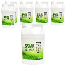 次綠康 59晶 健康除菌清潔液, 4L, 6桶