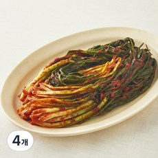 모산김치 갓담근 매운 실비 파김치, 500g, 4개