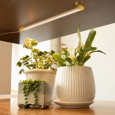 LUAZ 黏貼式LED燈條 植物生長照明 植物燈 45cm 1頭, 暖白色