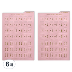 플레픽 이너 인덱스 스티커 CARNATION, 6개, 1개입
