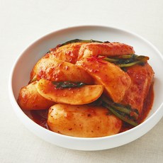 모산김치 갓담근 총각김치, 1개, 1kg