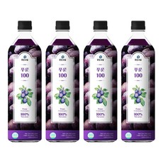 Malgeunnail 李子汁, 4瓶, 1L