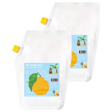 서울팩토리 제주 한라봉 베이스, 2개, 1kg