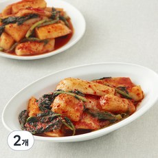 팽현숙 최양락의 맛있는 옛날 총각김치, 3kg, 2개