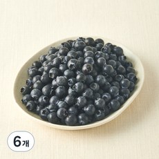 아주마 무농약 인증 산지직송 작아도 맛있는 블루베리, 250g, 6개