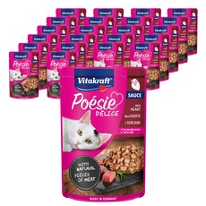 비타크래프트 고양이 델리스 소스, 치킨하트, 85g, 23개