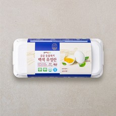 곰곰 동물복지 백색 유정란, 1개, 10구