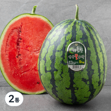 다올찬 맹동 꿀수박, 9kg 이상, 2개