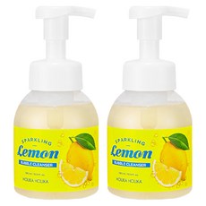 홀리카홀리카 탄산레몬 버블 클렌저, 300ml, 2개