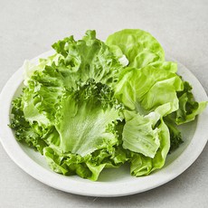 친환경 유러피안 모둠 샐러드용 채소, 180g, 1개