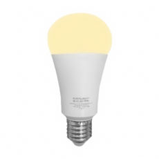 EVERLIGHT 億光 LED球泡燈 16W 黃光 3000K 2160lm 全電壓100-240V, 1個