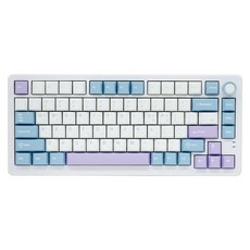 큐센 풀윤활 가스켓 유무선 기계식 키보드, 블루퍼플, QSENN Q75 PBT, 퍼플축