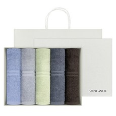 송월타월 데이라인 호텔수건 110g 면사 5종 세트 + 쇼핑백, 랜덤발송, 1세트