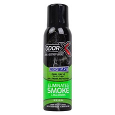 美國龜牌 Turtle Wax ODOR-X FRESH BLAST 消除煙味和異味, 85g, 1瓶