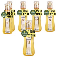 한국양봉농협 아카시아 꿀, 500g, 6개