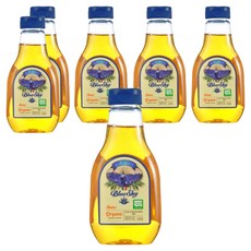 BlueSky 유기농 아가베 시럽 엠버, 330g, 6개