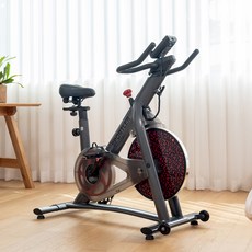 스포틀러 스핀바이크 마그네틱 209 고객직접설치, 블랙, BGB209A