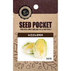 월드가드닝 뉴진선노랑배추씨, 1개