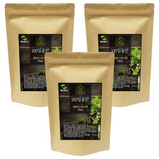 해밀생활건강 100일동안 히비스커스차 삼각티백, 1.2g, 100개입, 3개