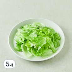 팜에이트 무농약 인증 스마트팜 손질 양상추, 60g, 1개입, 5개