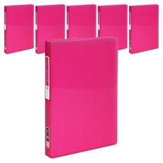 ECO Chungwoon 彩色芯片透明文件夾 40張 A5, 隨機出貨, 6入