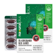 내츄럴플러스 포스파티딜세린 징코 브레인, 60정, 2개