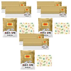 인라이프 국내 제조 파스형 붙이는 프렌즈 핫팩 50g, 90개